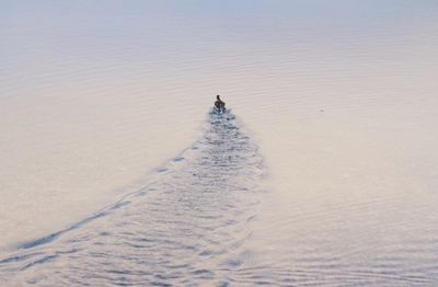 Person on horse in winter