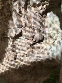 Low angle view of rocks