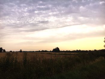 Scenic view of field against sky during sunset