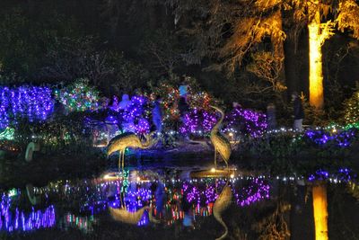 Illuminated birds by lake at night