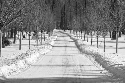 Footpath amidst trees during winter