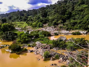 Scenic view of river by trees against sky