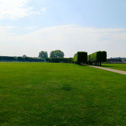 Trees on field against sky