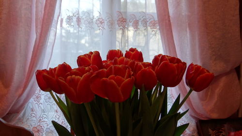 Close-up of orange tulips against window at home