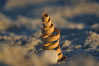 Close-up of a shell and decorative spiral made of wood on the beach on sanibel island