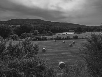 Scenic view of field against sky