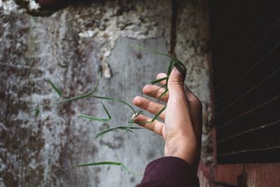 Close-up of man holding hand