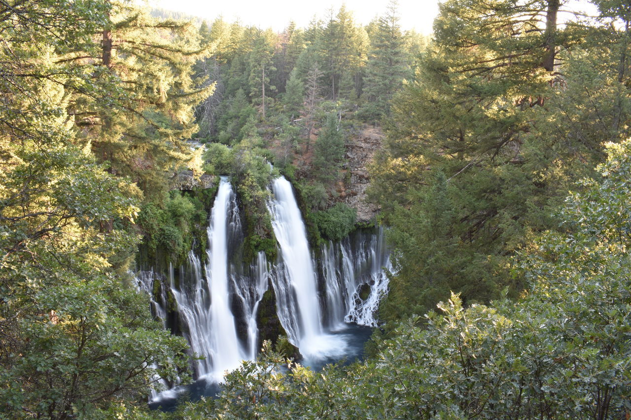 waterfall, plant, tree, beauty in nature, scenics - nature, water, nature, forest, motion, water feature, land, flowing water, long exposure, environment, growth, body of water, non-urban scene, no people, green, blurred motion, day, outdoors, autumn, flowing, woodland, idyllic, rock, tranquility, tranquil scene, travel destinations, splashing, sunlight, travel, landscape