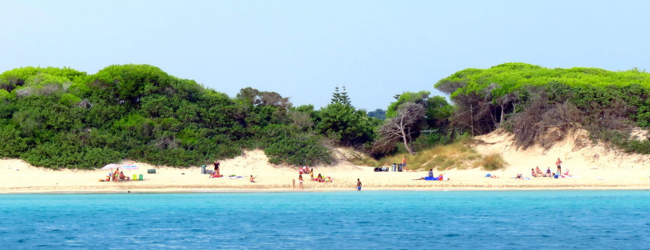 GROUP OF PEOPLE BY SWIMMING POOL