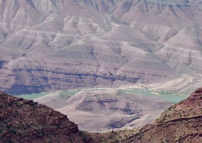 Dramatic landscape of the colorado river down the canyon