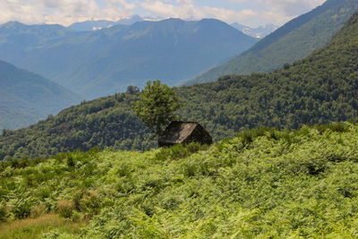 Scenic view of landscape against mountains