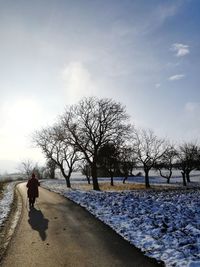 Man walking on snow covered trees against sky