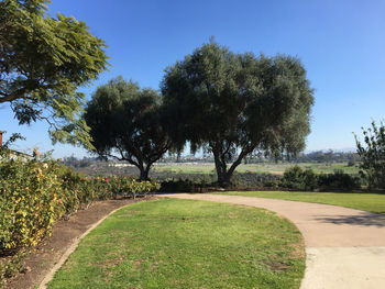 Trees on field against clear blue sky