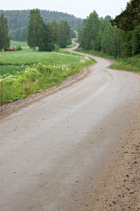 Road by trees