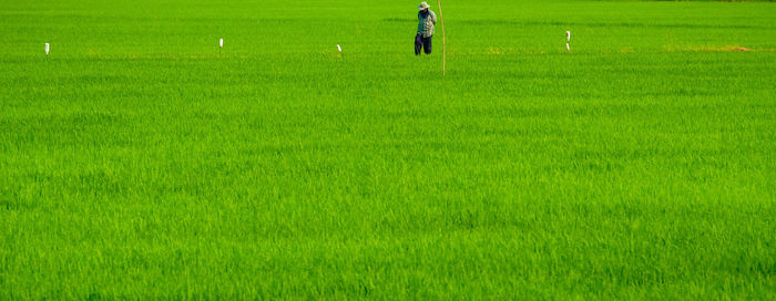 Full length of man on field