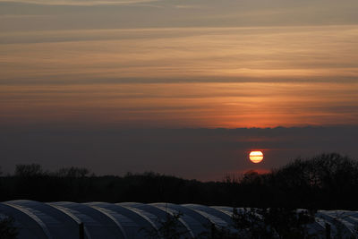 Scenic view of silhouette trees against orange sky during sunset