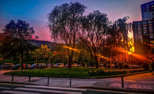 Trees by road against sky during sunset