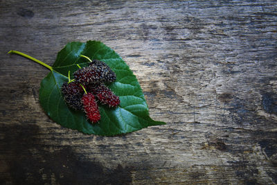 Directly above shot of mulberries on leaf over table