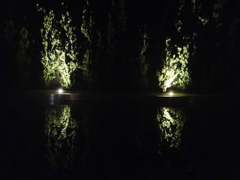 Reflection of trees in water at night