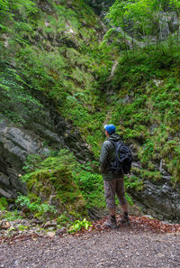 Rear view of woman walking in forest