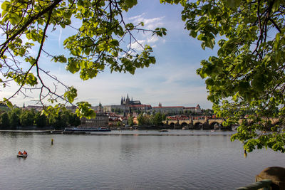 Scenic view of river by trees against sky