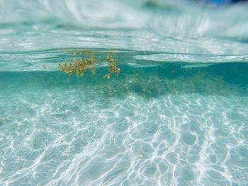 View of sea in swimming pool