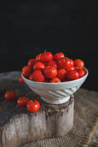 Close-up of red fruits on tree