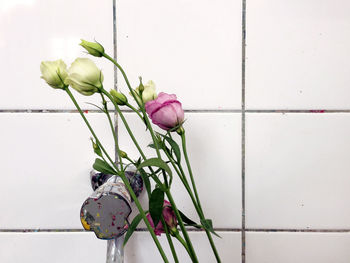 Close-up of pink flowers