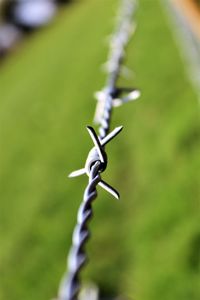 Close-up of barbed wire on metal fence