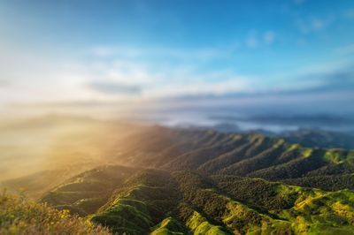 Scenic view of landscape against sky