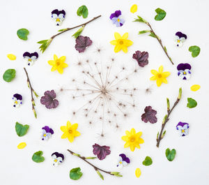 Full frame shot of arrangement of colorful flowers