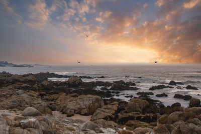 Scenic view of sea against sky during sunset