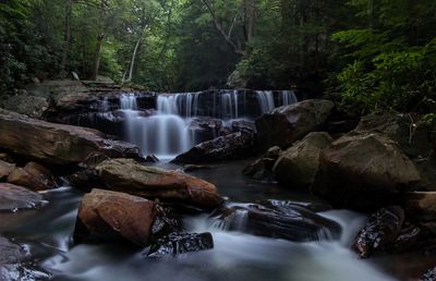 Scenic view of waterfall in forest