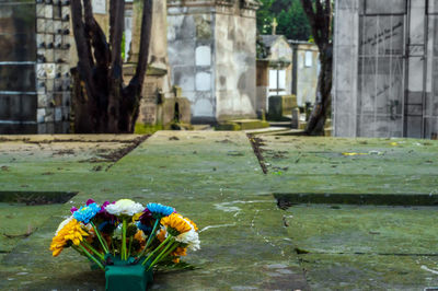 Flowers on grave at cemetery