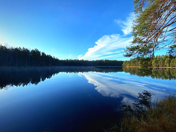 reflection