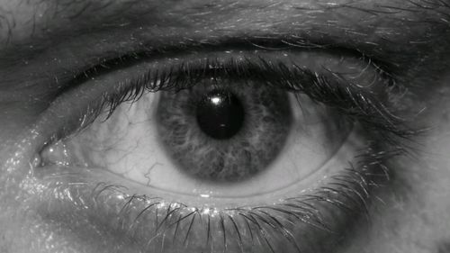 Close-up of human eye