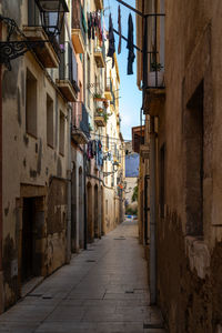 Street amidst buildings in town