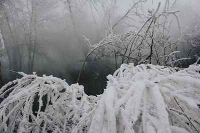 Scenic view of snow covered landscape