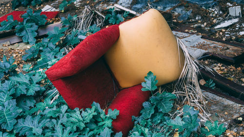 Comfortable old armchair dumped on the ground. colorful thrown away furniture in the nature.