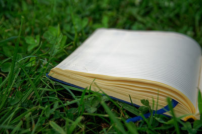 High angle view of open book on field