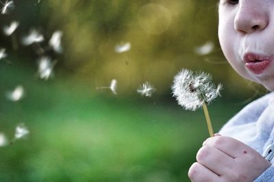 Cropped image of girl blowing dandelion