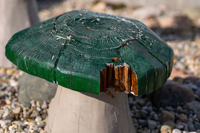 Close-up of log on wood