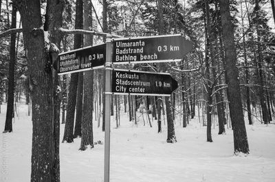 Information sign on tree trunk during winter