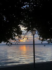 Silhouette tree on beach against sky at sunset