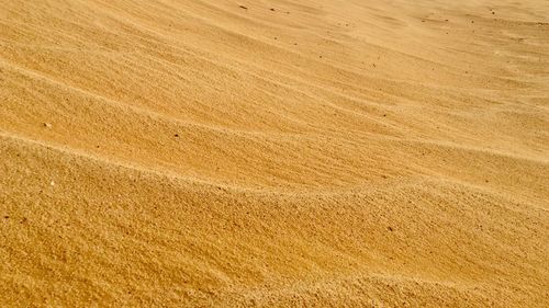 Full frame shot of sand dune