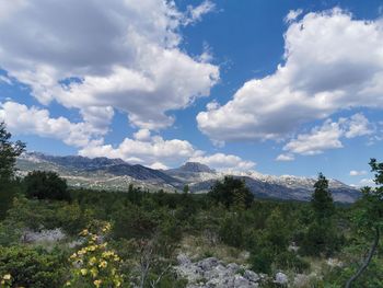 Scenic view of landscape against sky