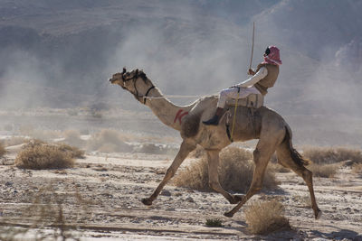 Man riding horse on sand against sky