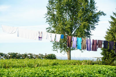Clothes drying on field against sky