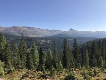 Scenic view of landscape against clear sky