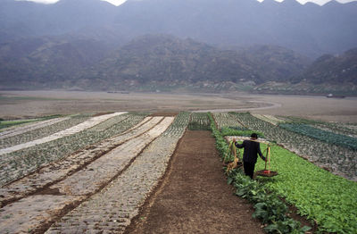 View of rural landscape